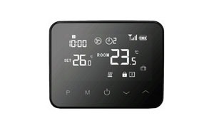 Siemens RDS110